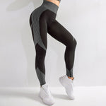 Sexy Seamless Workout Leggings