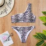 Snake Skin Two Piece Set