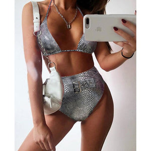 High Waist Deep V Bathing Suit